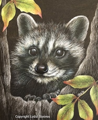 Lydia Steeves' design "Snug as a Bug"
