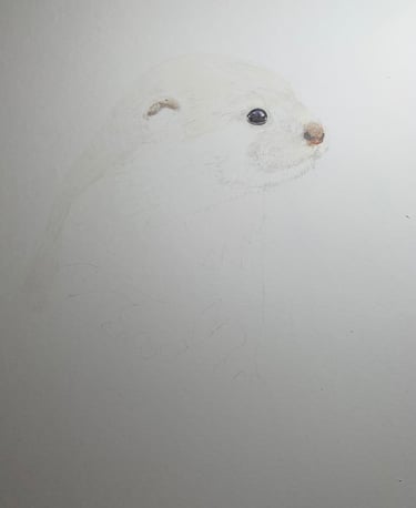 Otter