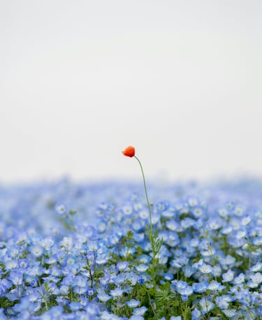 positionnement singulier stratégie de marque