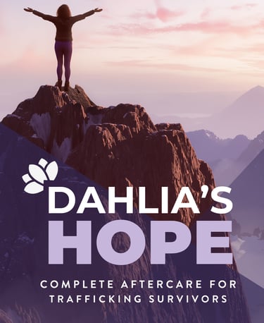 a person standing on a mountain top with a dog