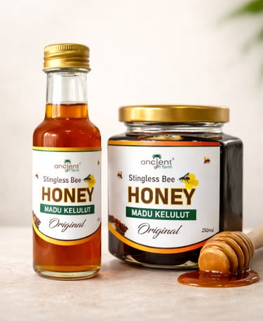 stingless bee honey kelulut malaysia ancient gift farm
