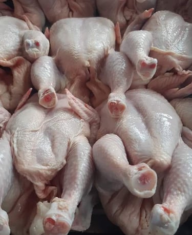 Biggest Chicken Exporters in Pakistan