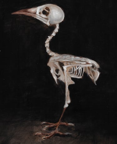 Iora Bird