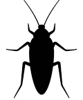 Cockroach_24/03/25