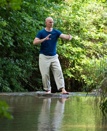 Eric Qi Gong 8 pièces