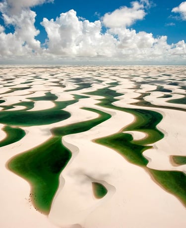 a large body of water with green algaes
