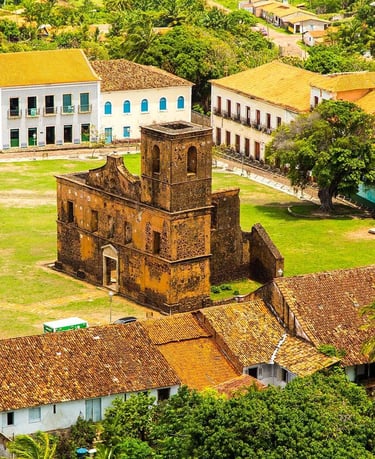 a church with a clock tower in the middle of a lush green field