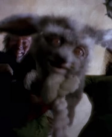 A Story Short, Made a Hare