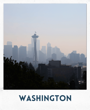 seattle, washington, space needle, city view, a city skyline with a view of the city