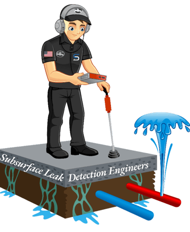 Subsurface Leak detection of Colorado Mascot