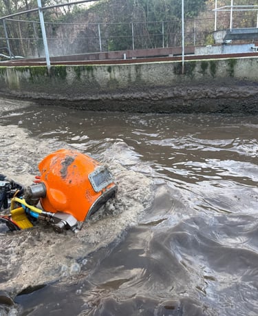 inspection subaquatique STEP et STEU, plongeur