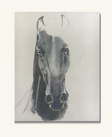 Fine art horse portrait created in soft pastel with realistic detail and soft shading.