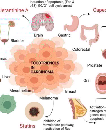 Tocotrienols in Carcinoma Research Validated