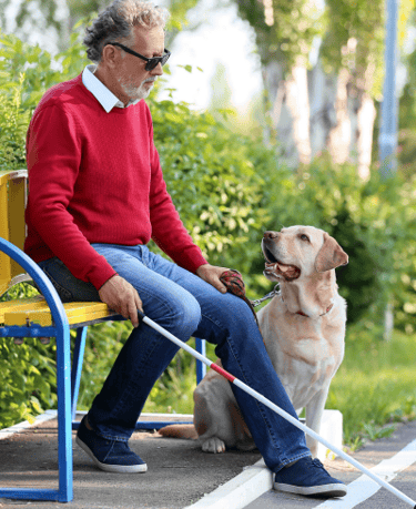 Man sitting on a park bench with his guide dog and cane, reflecting independence for the blind. he has glaucoma