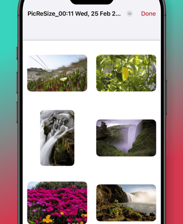 PicReSizer, Edit Share PDF