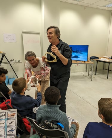 alain surina shark education club école primaire