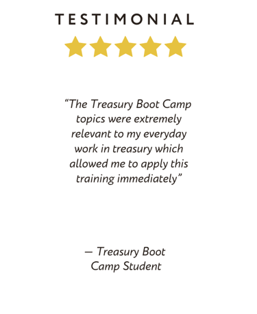 Treasury Boot Camp Client Testimonial - Treasury Work