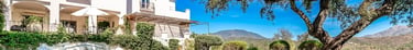 Swimming pool beside the villa framed by olive trees at Finca Santa Katerina