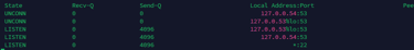 ss tultn linux command output
