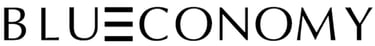 Blue Economy logo