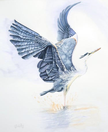 Making a Splash, Heron Elevating, Original Artwork