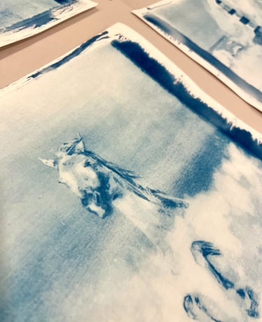 An Original Handmade Cyanotype Print