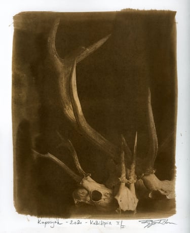 alternative photography, showcasing experimental visual art.
