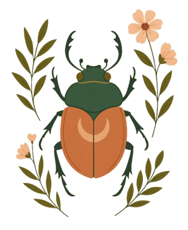 Mallemort Salon-de-Provence Soin Massage