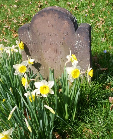 Gravestone with daffodils