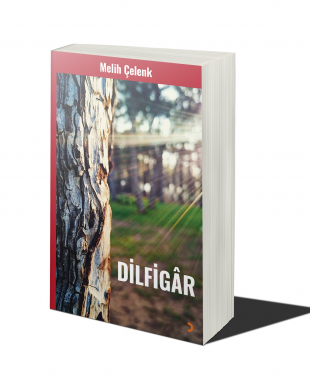 a book cover of Dilfigâr