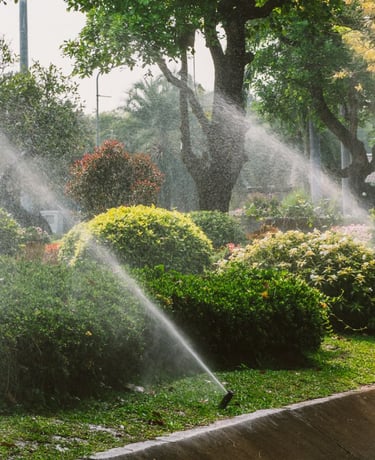 çim ve peyzaj uygulamalarıyla tamamlanan dış mekan