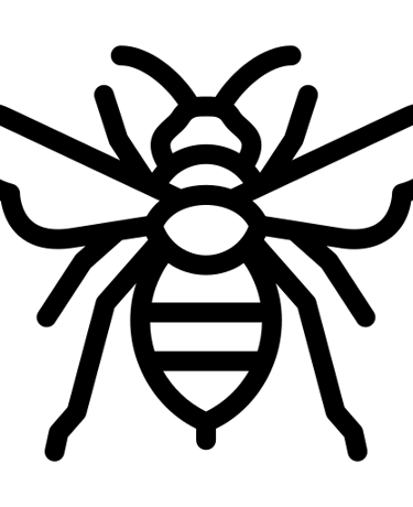 destruction nids de guêpes et frelons a Nice et 06