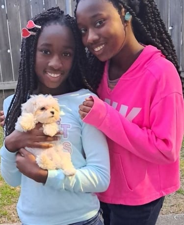 Mal-Shi Designer Pup and 2 girls