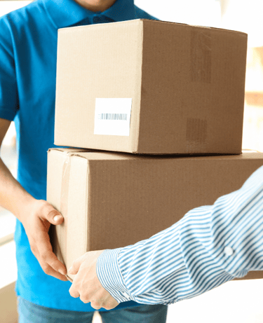 belanja groceries online