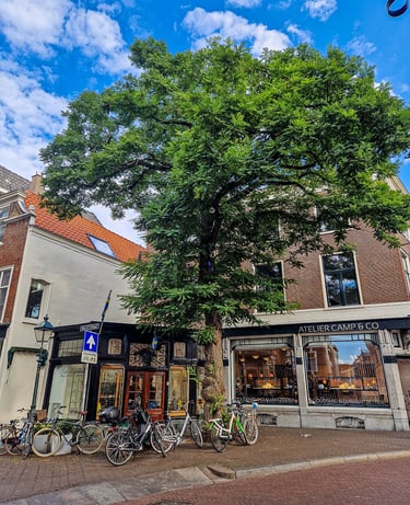 Denneweg The Hague