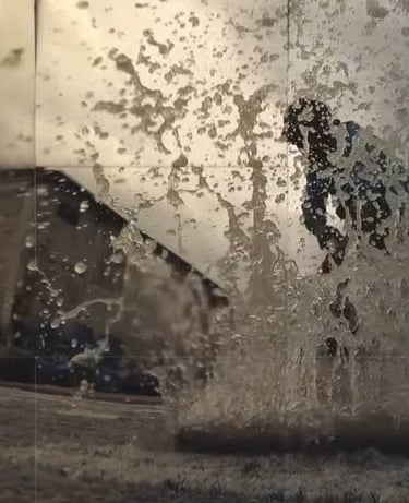Carpet Washing