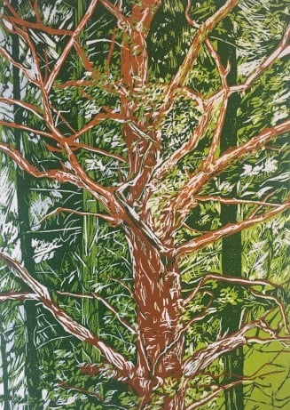 Linocut: Caged tree