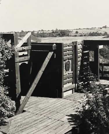 une cabane, dans un style Land Art