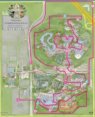 2015 runDisney Tinker Bell 10K Course Map
