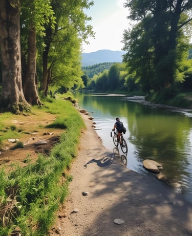 Electric and regular bicycles parked near the guesthouse ready for a ride.