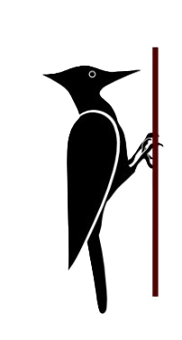 Minimalist black and white woodpecker silhouette illustration perched on a vertical tree branch.