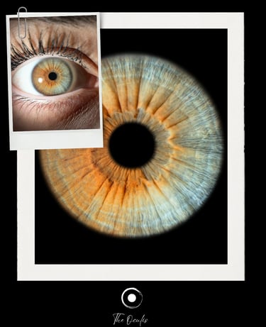 The Oculis® "4:5 İris Post", "InstaPost @theoculis"