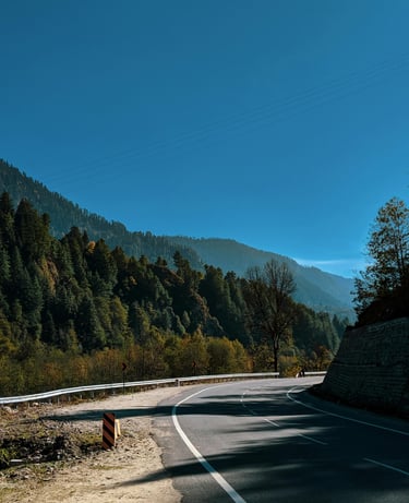 a road sign on a mountain side road