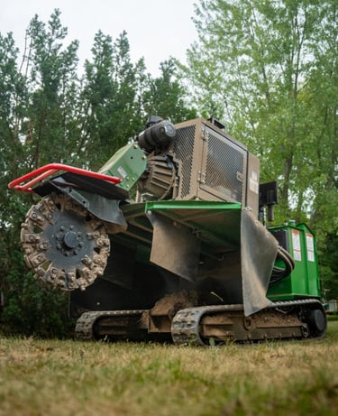 Celmu frēze, jaudīgs un profesionāls Bandit