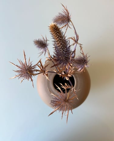 a vase with a plant in it