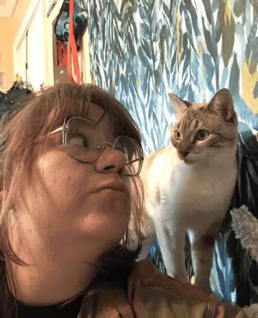 cat and person looking at each other