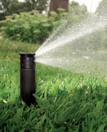 bahçe peyzaj tasarımı ile yenilenmiş çevre düzeni