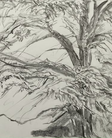 Dumfries House Residency - through the trees