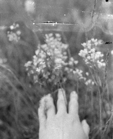 A hand gently reaching out, touching natures blossoming bounty