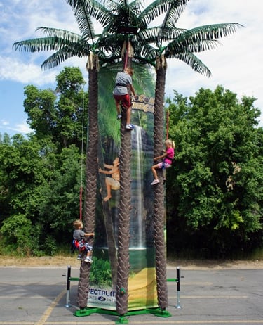 Unique coconut tree rock wall